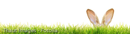 Frohe Ostern!