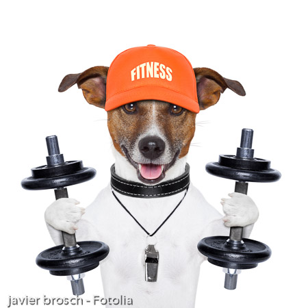 funny fitness dog