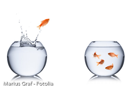 fish escape