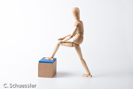 Physiotherapie, Rückenschule